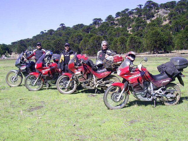 Nosotros.....Ricardo, Marcelo y Luis