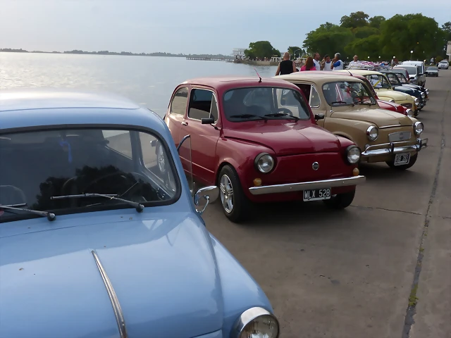 P1070574 P1070574