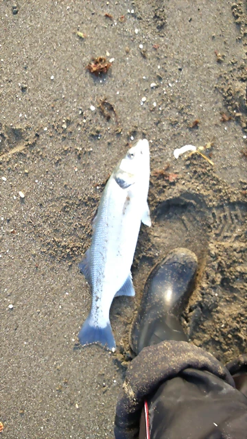 IMG-20150307-WA0003 IMG-20150307-WA0003