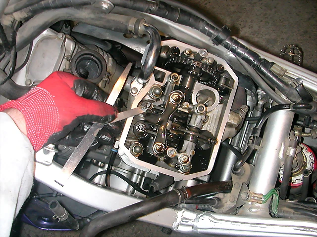 DSCN4205 DSCN4205