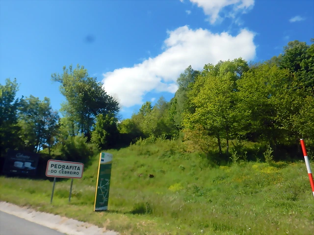 DSCN2952 DSCN2952
