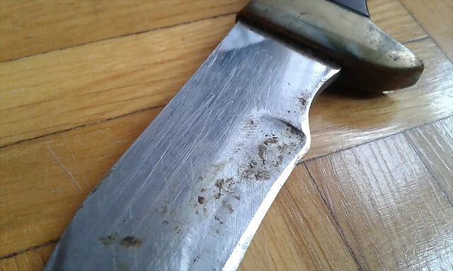Muela 02 Muela 02