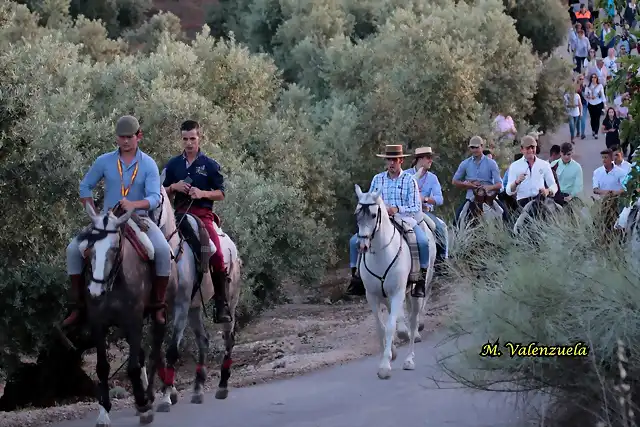 29, caballos, marca