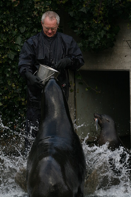 Amsterdam 2010 881