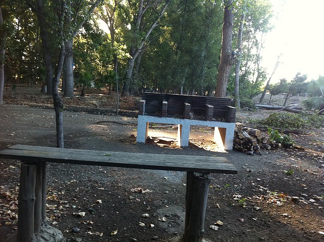 IMG_2772 IMG_2772