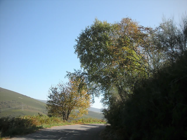 DSCN0060 DSCN0060