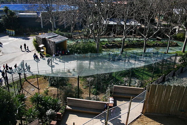 Zoo de Barcelona 27-02-11 179 Zoo de Barcelona 27-02-11 179