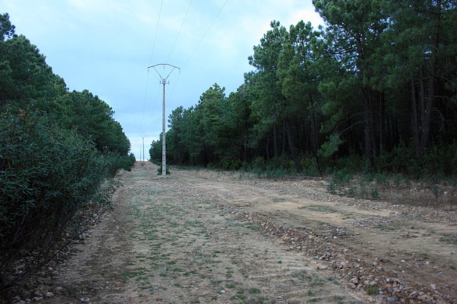 Naturaleza manchega