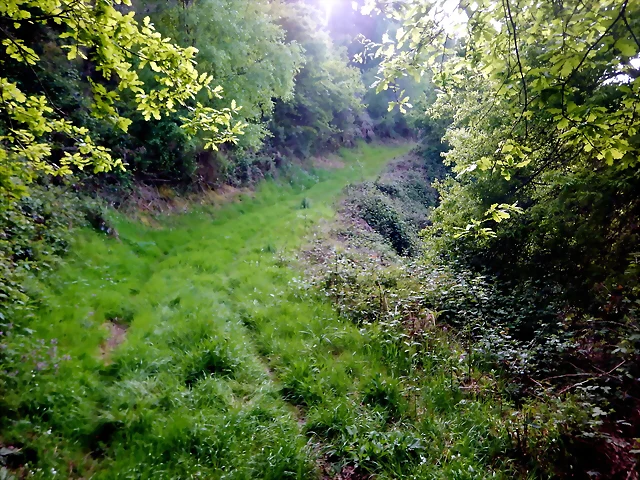 DSCN2099 DSCN2099