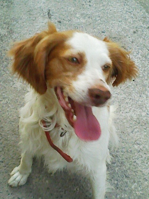 Mi TIKO Mi TIKO