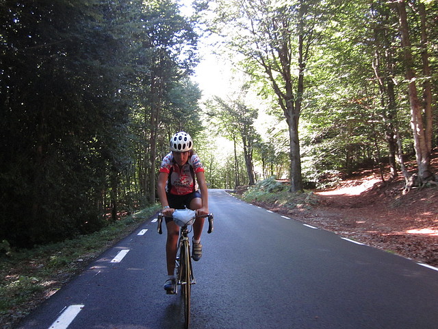IMG_1250 IMG_1250