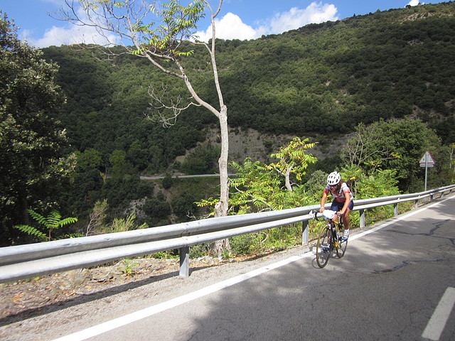 IMG_1267 IMG_1267