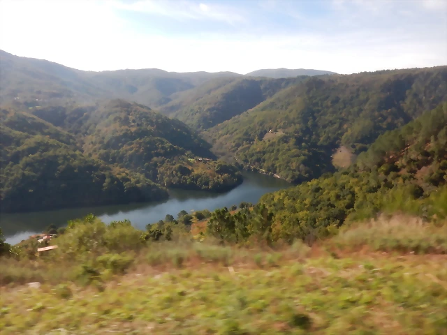 DSCN4605 DSCN4605