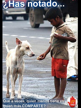 Solidaridad entre nio pobre y un perro
