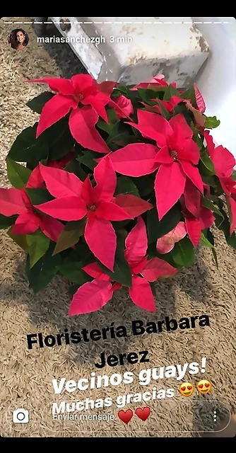Mar?a IG Stories 16-11-2019 (6) Mar?a IG Stories 16-11-2019 (6)