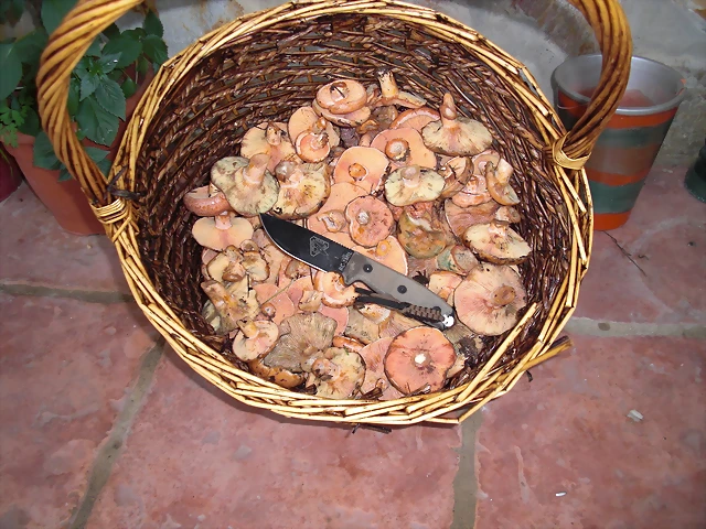 15 15