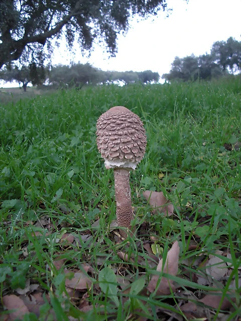 9 9