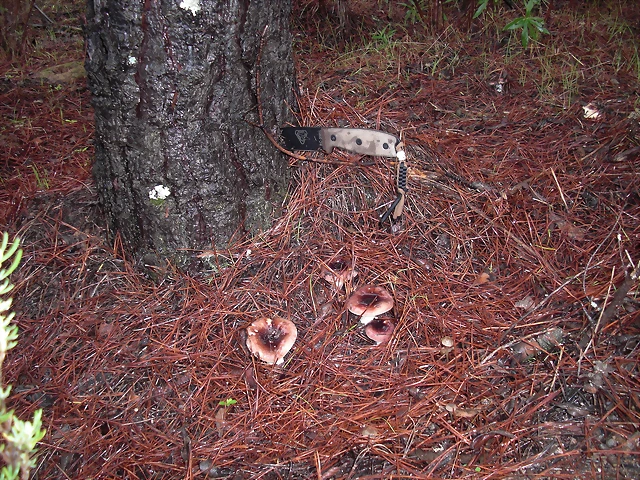 3 3