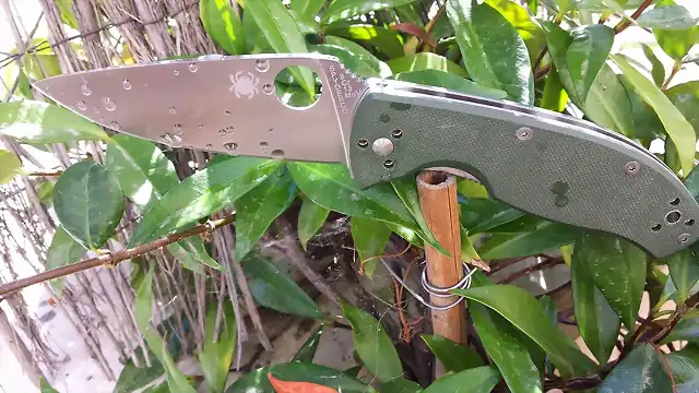 Spyderco Tenacious Green