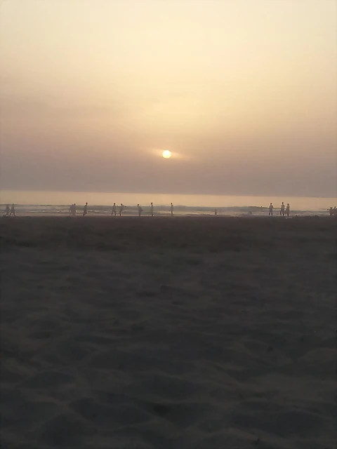 18-8-2012 (2) 18-8-2012 (2)