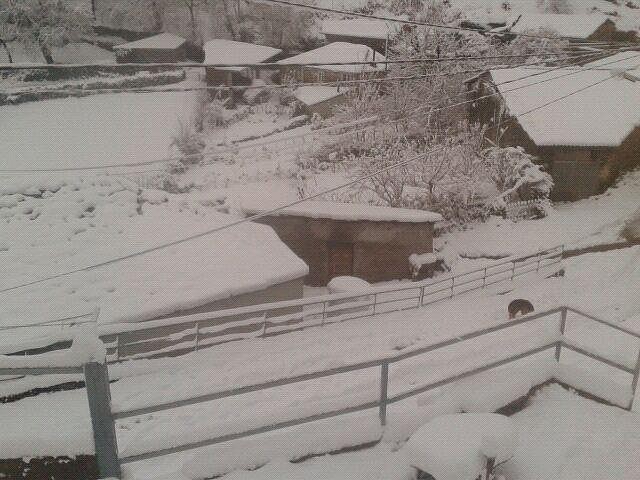 neve 2