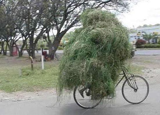 transporte-extremo-bicicleta-01