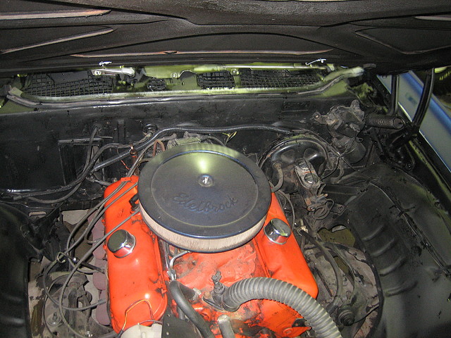 IMG_7742 IMG_7742
