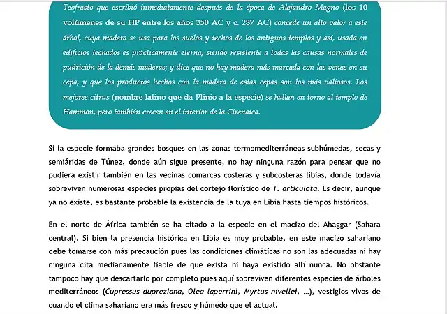 TETRACLINIS LIBIA