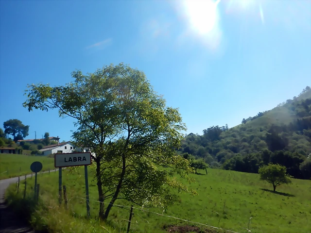 DSCN7074 DSCN7074