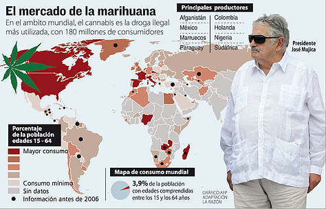 Info-mercado-marihuana_LRZIMA20130803_0011_13