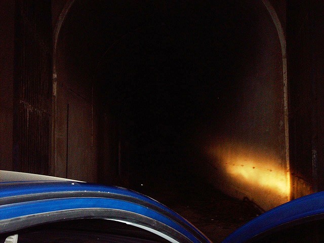 IMG_1113 IMG_1113