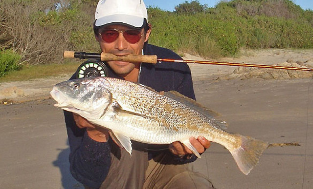 corvina-rubia-con-mosca3