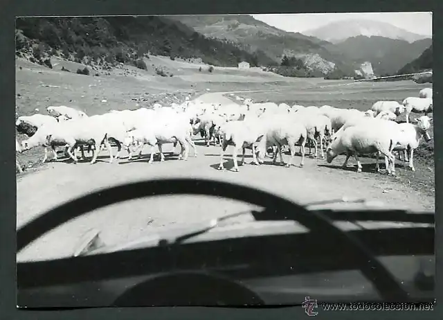 Valle del Roncal (Navarra) 1963