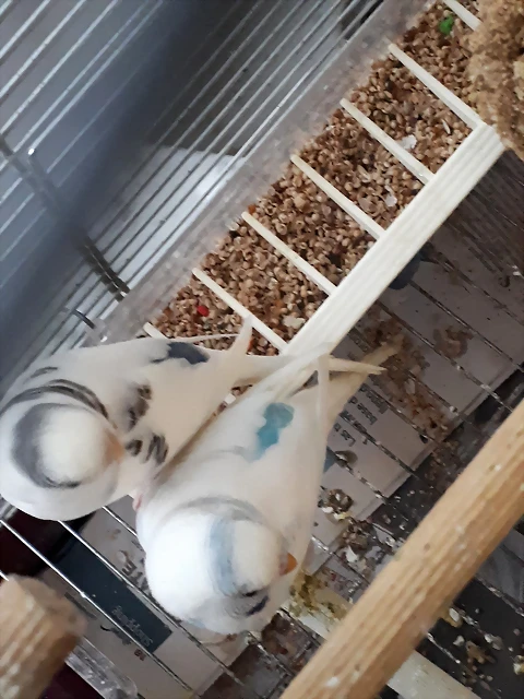 20190507_200448 20190507_200448