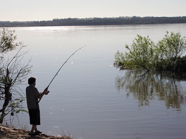 pescando