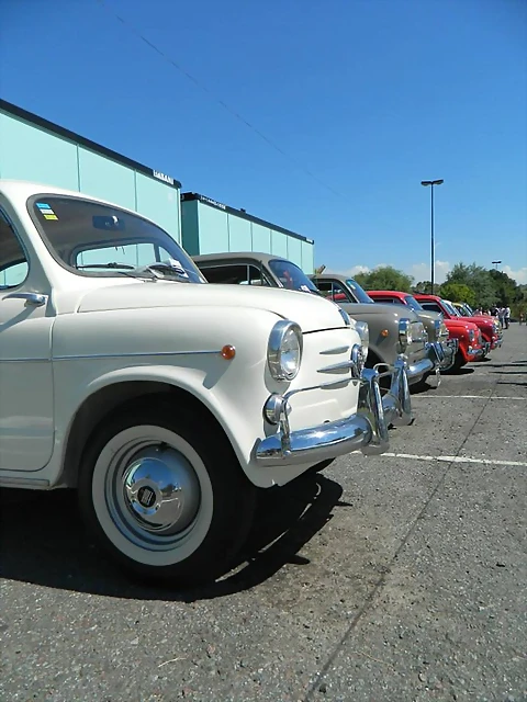suici 8