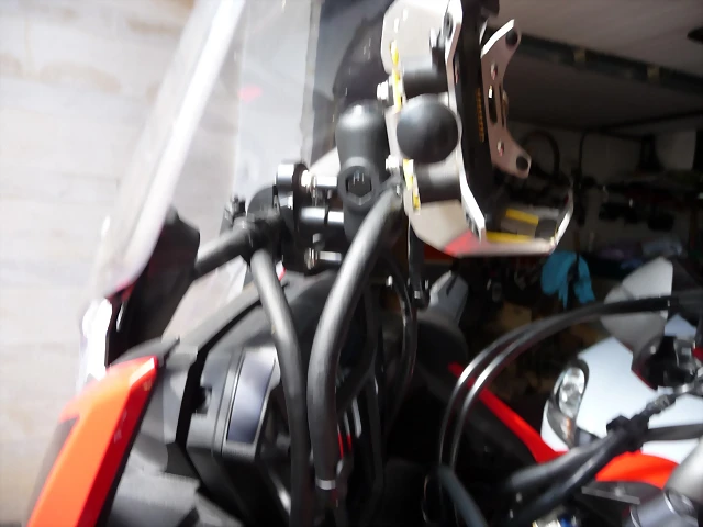 P1000104 P1000104