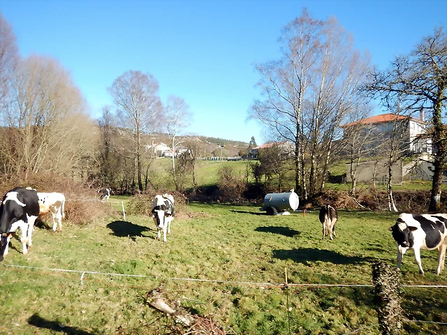 DSCN1672 DSCN1672