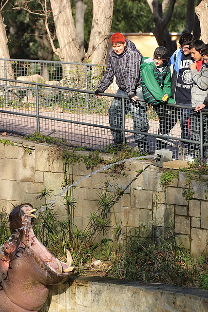 Zoo de Barcelona 16-02-12 308 Zoo de Barcelona 16-02-12 308