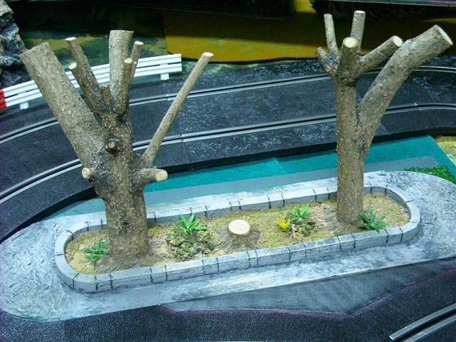 Mencey Bentor 006 (Small)