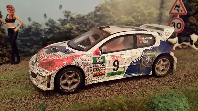 PEUGEOT 206 WRC 2000 ESPAA TIERRA MUNIENTE