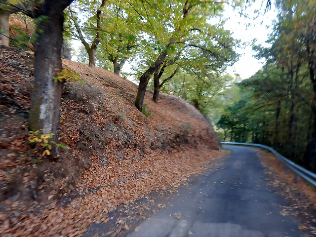 DSCN8631 DSCN8631