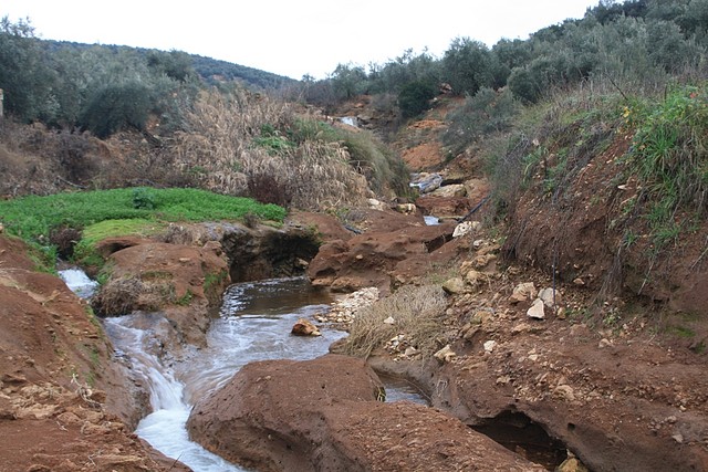 006, arroyo abajo