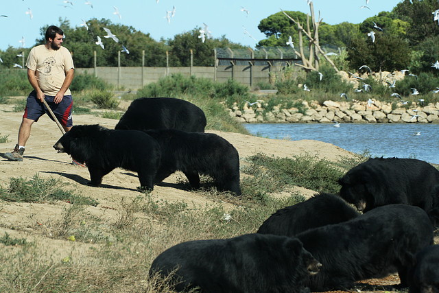 Zoo Lunaret + Sigean 18 i 19-09-10 2565 Zoo Lunaret + Sigean 18 i 19-09-10 2565