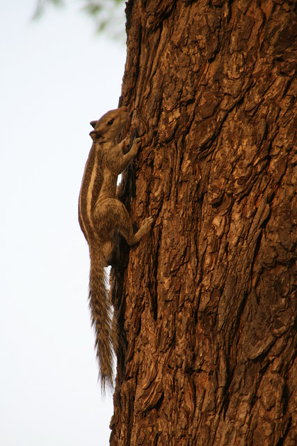 IMG_2603 IMG_2603