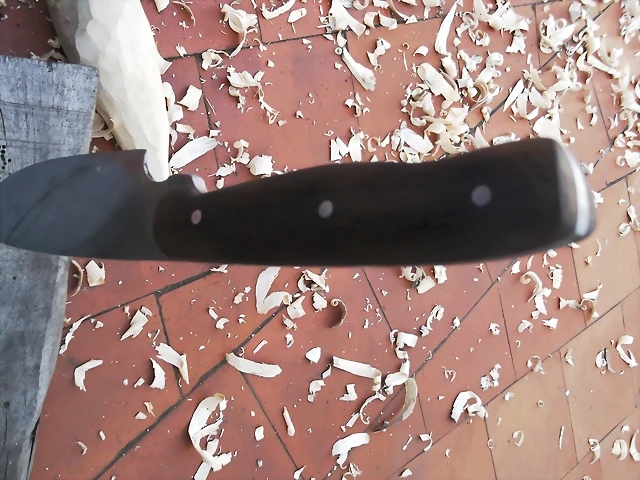 DSCF1321 DSCF1321