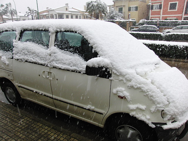 Nevada 4 de Febrero de 2012 019