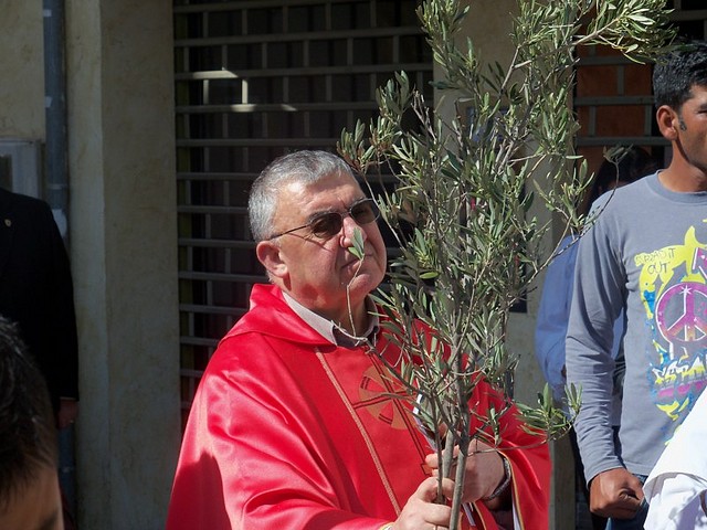 domingo de ramos 2011 (8)