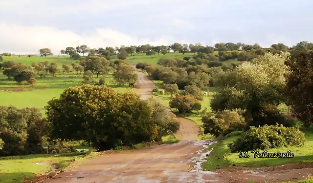 09, por la sierra, marca