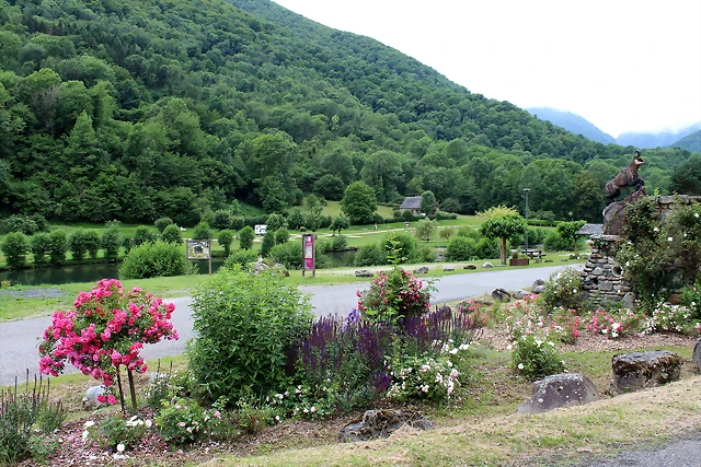 IMG_6534 IMG_6534